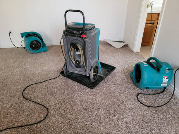 Best Local water damage restoration  in Kaysville, UT