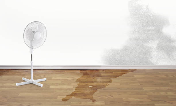 Local water damage restoration in Kaysville, UT