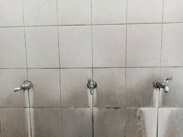 Best Flood restoration services  in Kaysville, UT