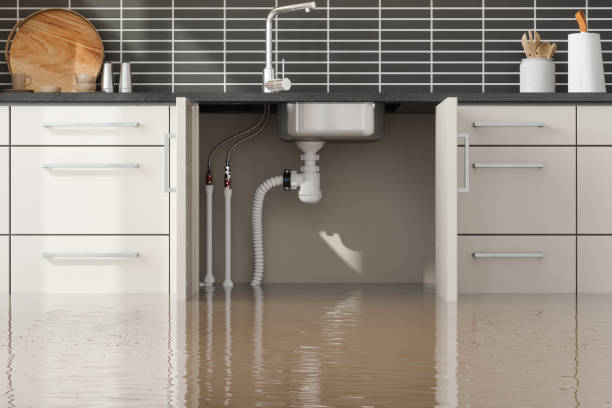 Best Commercial water damage restoration  in Kaysville, UT