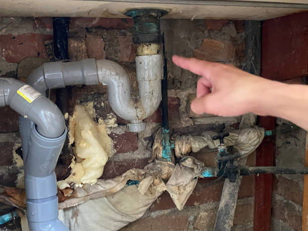 Best Water damage contractors near me  in Kaysville, UT