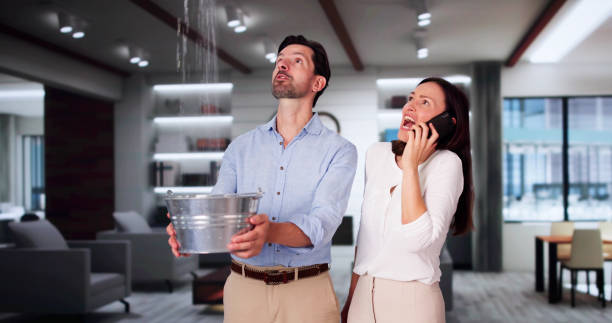 Best Water damage cleanup near me  in Kaysville, UT